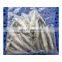 OEM Style IQF Sardine Fish for Export