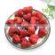 Frozen New Whole Fresh Dried Strawberry IQF Fresh Dried Red Strawberry