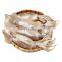 whole round frozen todarodes pacificus squid japanese flying squid