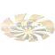 Modern Bedroom Living Room Flower Petal Shape LED Chandelier Changeable Colors Ceiling Light With APP And Remote Control