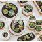 New Design Succulent Planter Wooden Mini Plant Set Small Low Bowl Chinese Perfect Turtle Garden Flower Pot Ceramic White