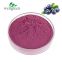 FREE SAMPLE Health Supplement Anthocyanin Beverage Natural Blueberry Concentrate Juice Powder