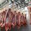 Hog Slaughter Line Pig Killing Machine Carcass Chilling Room For Slaughtering Equipment
