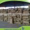 LangFang Pearly sand or Expanded perlite