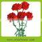 Professional company direct sell carnation flowers export Southeast Asia find importers