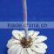 Home decoration flower