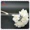 Most Popular Decorative Natural White Dried Flower wooden Sticks Wholesale with cheap price