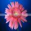 Fresh cutting gerbera fresh cut flowers real touch gerbera