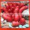 New high quality Plastic chicken Feeders and Drinkers in China