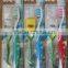 toothbrush kit/travel kit/oral care kit/dental care kit