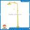 Wall mounted ABS coating Emergency shower