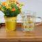 china manufacturer high borosilicate beautiful decal pattern double wall glass cup with handle