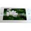 2.4G Wireless Visual Camera Doorbell Security Systems with Rain Cover