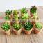 High Quality Artificial Succulent Plants Export Succulent Plants