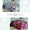 2015 NEW DESIGNS 1ply&2ply raschel quality hot compressed Embossed raschel korean style blanket NO.15024