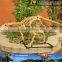 MY Dino-C057 High quality animal skeleton model for sale