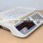 digital Electronic price Computing Food Meat Price scale with stainless button
