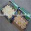 High quality singo pear from Shandong