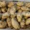 2016 NEW CROP FRESH POTATO FROM CHINA