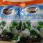 blended frozen bulk manufacturer fruits and vegetables model