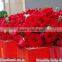 Fresh cut muticolor rose flower