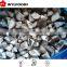 In Bulk Frozen Shiitake Cut Mushroom