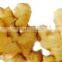 Shandong Weifang/Laiwu Wholesale Ginger Price