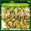 PUMPKIN SEEDS SHINE SKIN PUMPKIN SEEDS SNOW WHITE PUMPKIN SEED KERNELS SHINE SKIN-GRADE AA