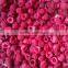 Blueberry Vacuum Freeze Drying Machine