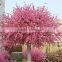 Top quality outdoor/indoor professional design artificial peach tree