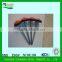 Umbrella head roofing nail/Galvanized roofing nails with washer