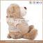 China factory custom 25cm plush teddy bear