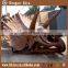 Museum Life Size Dinosaur Fossil For Sale