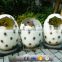 KAWAH China Supplier Customized Popular Hatching Dinosaur Egg