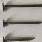 Q195 polished common iron nail