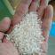 Combined Rice Mill 200kg Per Hour Small Rice Mill Machine