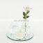 30cm decorative mirror round centerpiece mirror