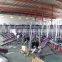 Professional Gym Equipment LZX-1010 Multi-Hip / gymEquipment / gym machine factory dezhou