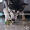 durable and non-toxic puppy chew toy grind teeth toy new design pet products manufacturer