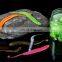 Amazon 5cm 6cm 8cm 20pcs/bottle Canned Earthworm Soft Fishing Bionic Bait Lure  Bass Fishing Artificial Soft Lure