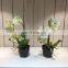 Amazon hot sale Beautiful decorative realistic artificial plastic fake orchid plants for restaurants