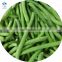 High Quality BRC Certified Wholesale IQF Frozen Green Bean Whole