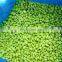 Sinocharm BRC A Approved 75# Frozen Soybean Kernel Frozen Edamame Kernel