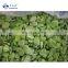 Sinocharm Bulk Green Frozen Broad Bean IQF Broad Fava Bean