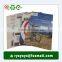 promotional hard plastic pp L shape a4 pocket file folder