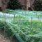 Manufacture high dene and vegetable protection agricultural greenhouses HDPE anti bird nets for garden net