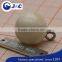trocas beads buttons ,round ball shape shell buttons