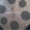 China central state-owned enterprise Heat Transfer Equipment special material titanium heat exchanger