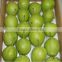 2016 new crops Fresh fragrant pear