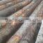 Beech veneer for deck